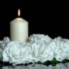 Dove vedere il funerale di Giulia Cecchettin in streaming e in TV