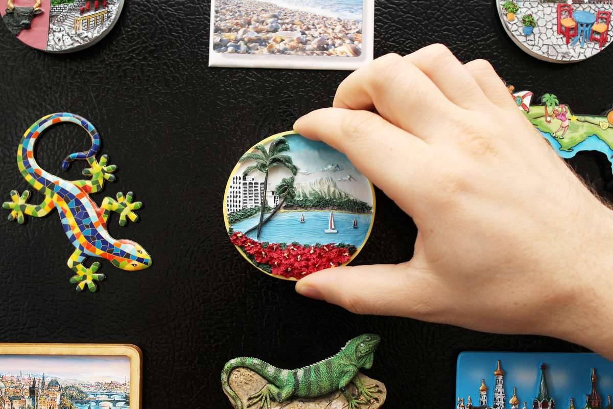 Le calamite sul frigo sono pericolose? Ecco tutta la verità!