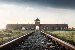 I film sulla Shoah, l’Olocausto e i campi di concentramento da vedere