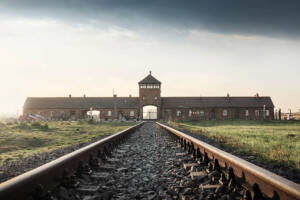 I film sulla Shoah, l'Olocausto e i campi di concentramento da vedere