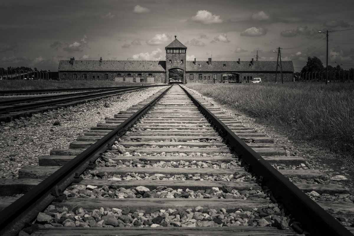 Qual è la differenza tra eccidio e genocidio: la crudeltà è un elemento comune