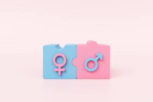 Cosa significa gender?