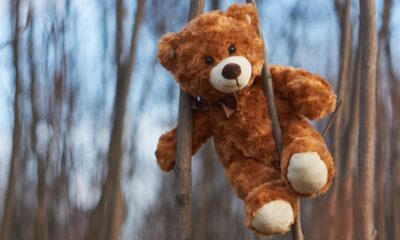 Winnie the Pooh, la vera storia è tutt'altro che serena: il dramma di Christopher Robin