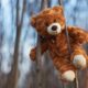 Winnie the Pooh, la vera storia è tutt'altro che serena: il dramma di Christopher Robin