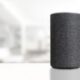 Alexa 2024, le domande più frequenti degli italiani: dallo sport ai patrimoni