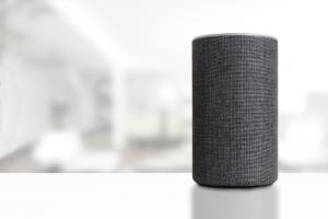 Alexa 2024, le domande più frequenti degli italiani: dallo sport ai patrimoni