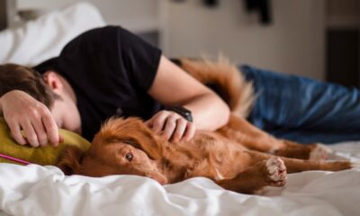 Marcapiumaterassi: dormire meglio grazie a un materasso di qualità