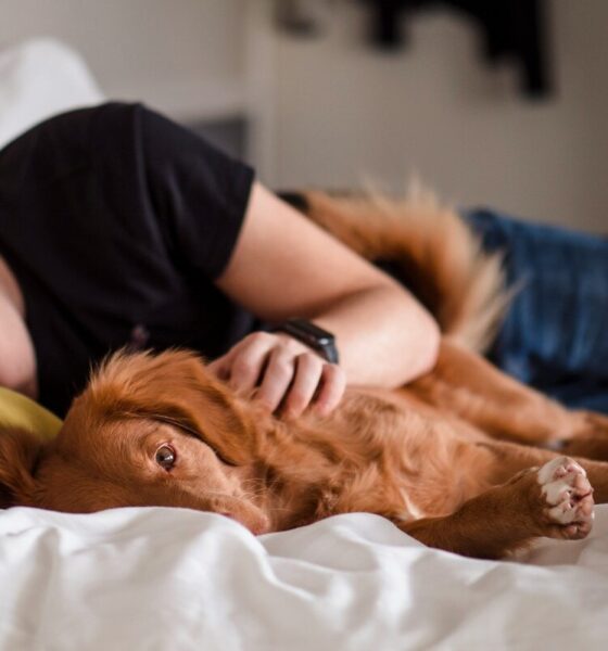 Marcapiumaterassi: dormire meglio grazie a un materasso di qualità