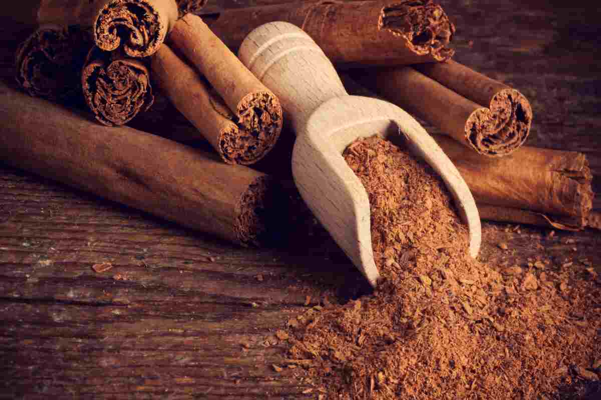 tisana con due ingredienti sgonfiante