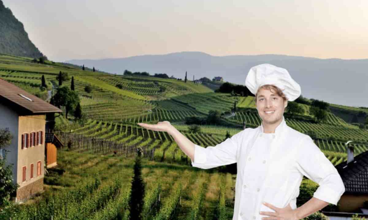 Per mantenere costantemente alta la qualità dei piatti e garantire ambienti sempre freschi e ordinati, i gestori adottano una serie di strategie organizzative