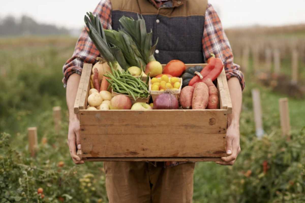 Un altro elemento imprescindibile per mantenere la cucina di un agriturismo sempre fresca e in ordine è la pulizia costante.
