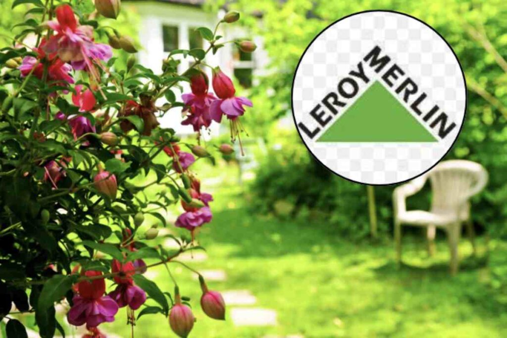 Iniziamo con le sedie da giardino, un elemento essenziale per creare aree relax all’aperto. Tra le proposte di Leroy Merlin