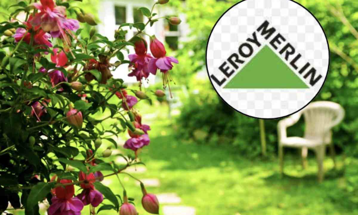 Iniziamo con le sedie da giardino, un elemento essenziale per creare aree relax all’aperto. Tra le proposte di Leroy Merlin