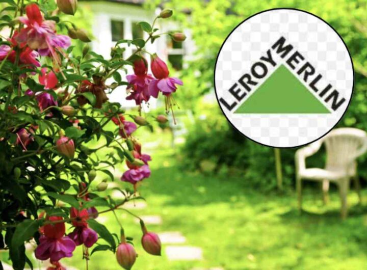 Iniziamo con le sedie da giardino, un elemento essenziale per creare aree relax all’aperto. Tra le proposte di Leroy Merlin