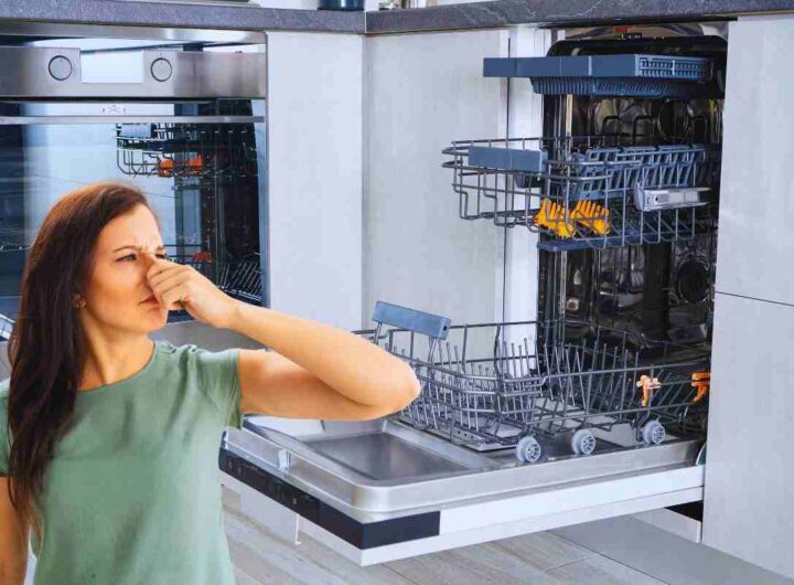 come eliminare la puzza dalla lavastoviglie