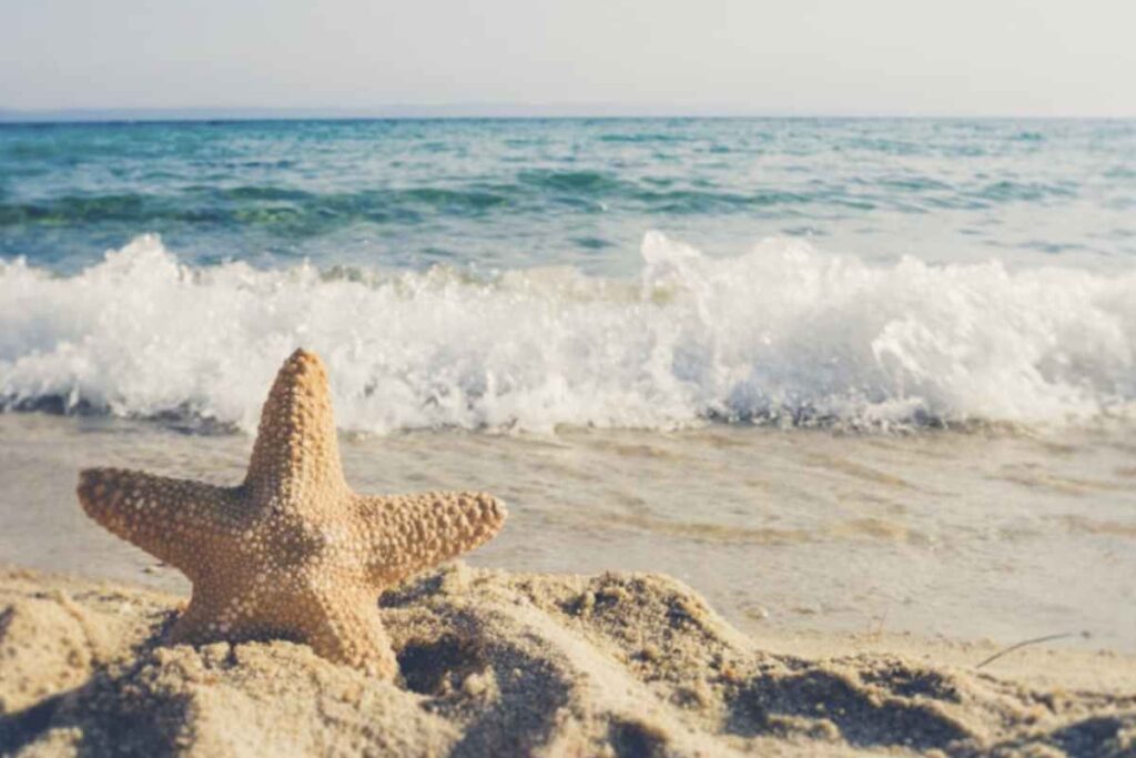 Anche la Basilicata, regione con un’affascinante costa sia sul Mar Ionio che sul Tirreno, si distingue con cinque località insignite