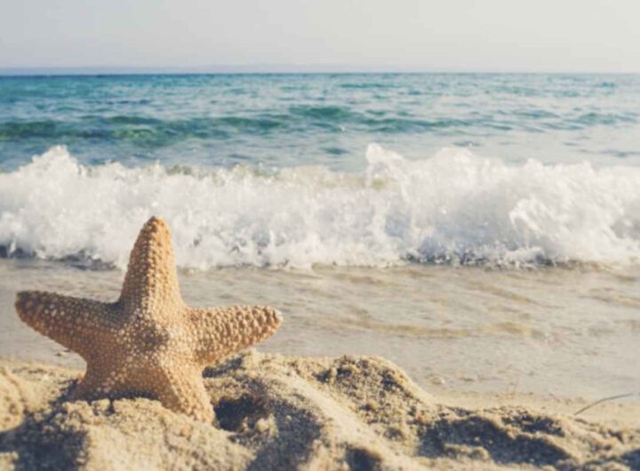Anche la Basilicata, regione con un’affascinante costa sia sul Mar Ionio che sul Tirreno, si distingue con cinque località insignite