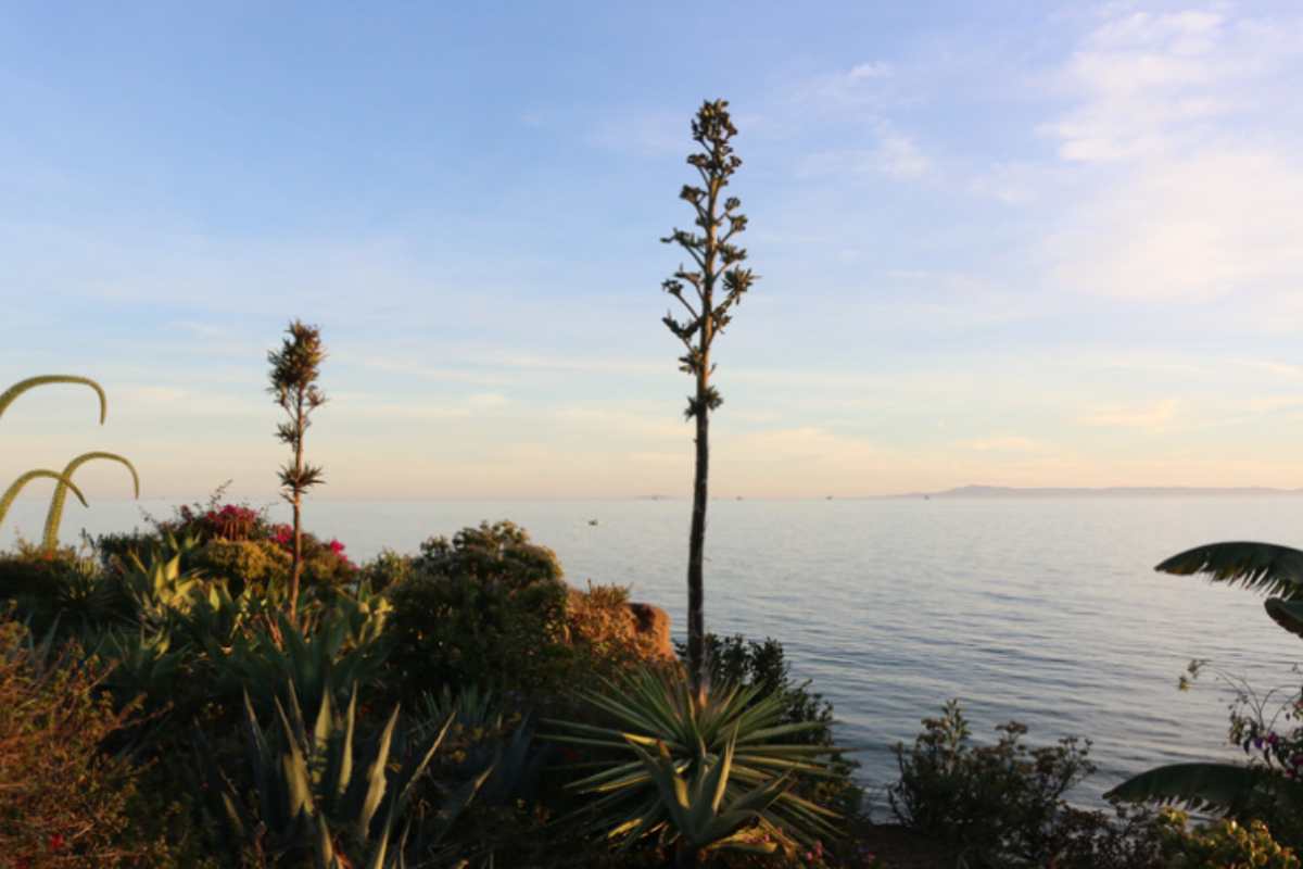 Montecito