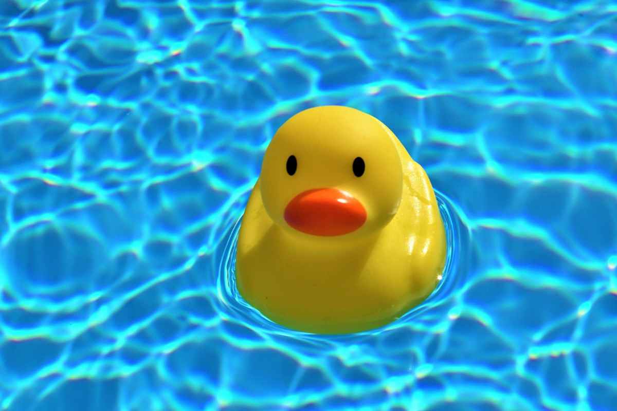 piscina germi