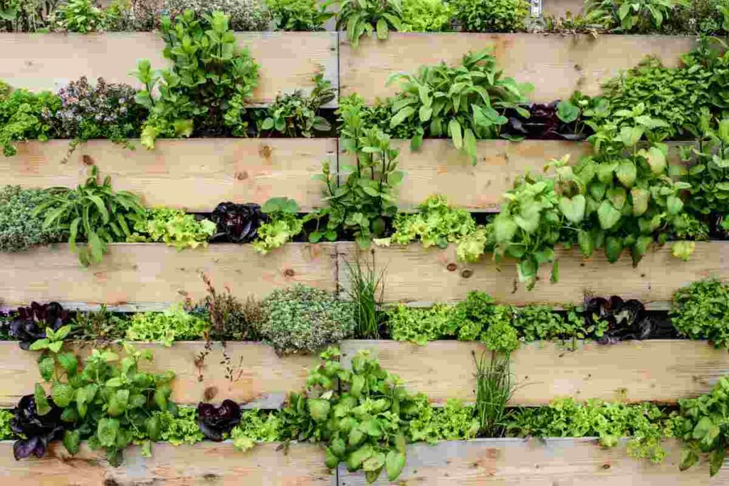 Costruisci il tuo giardino da sogno spendendo poco e niente