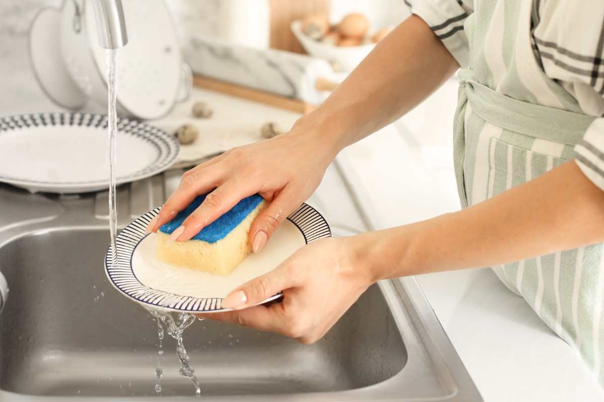 cosa non sai sulla spugna piatti