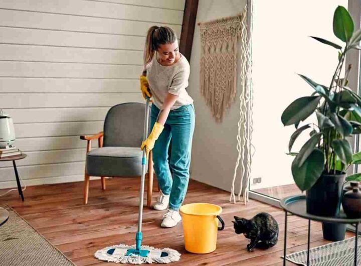Casa in ordine senza stress con il metodo FlyLady, tutti i dettagli