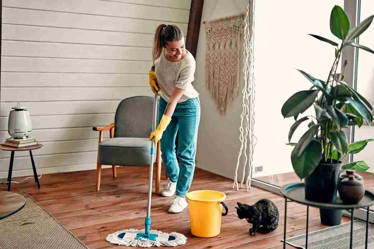 Casa in ordine senza stress con il metodo FlyLady, tutti i dettagli