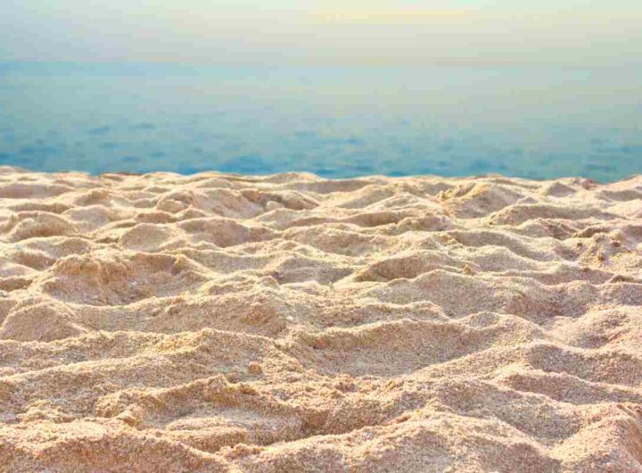 questa spiaggia ha sabbia d'oro