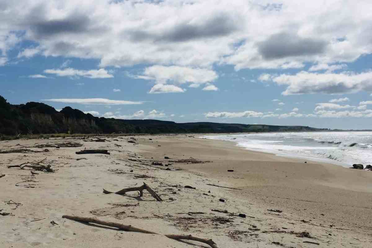 questa spiaggia ha sabbia d'oro