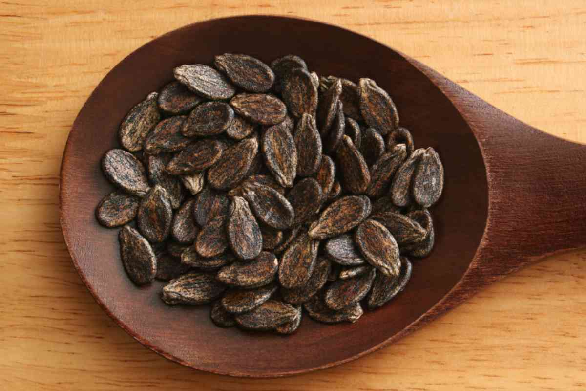 Anguria