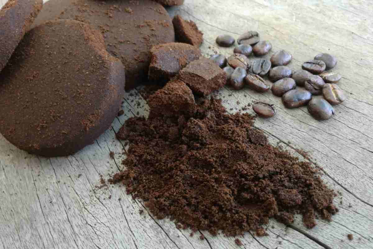Fondi di Caffè 
