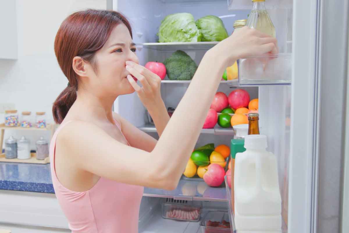 Frigo cattivi odori