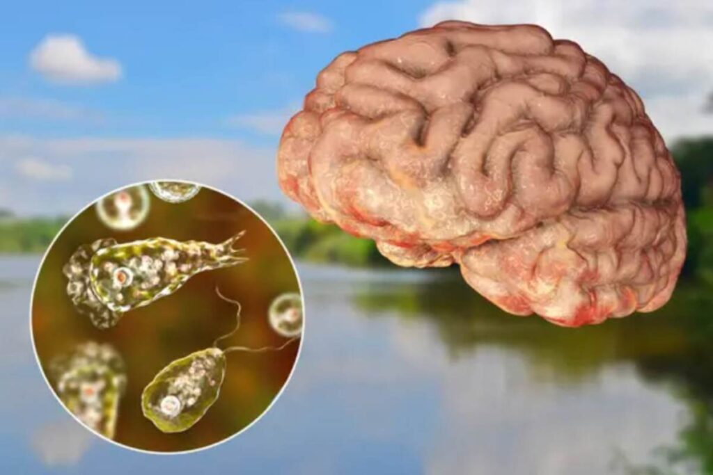 Il virus mortale in acqua
