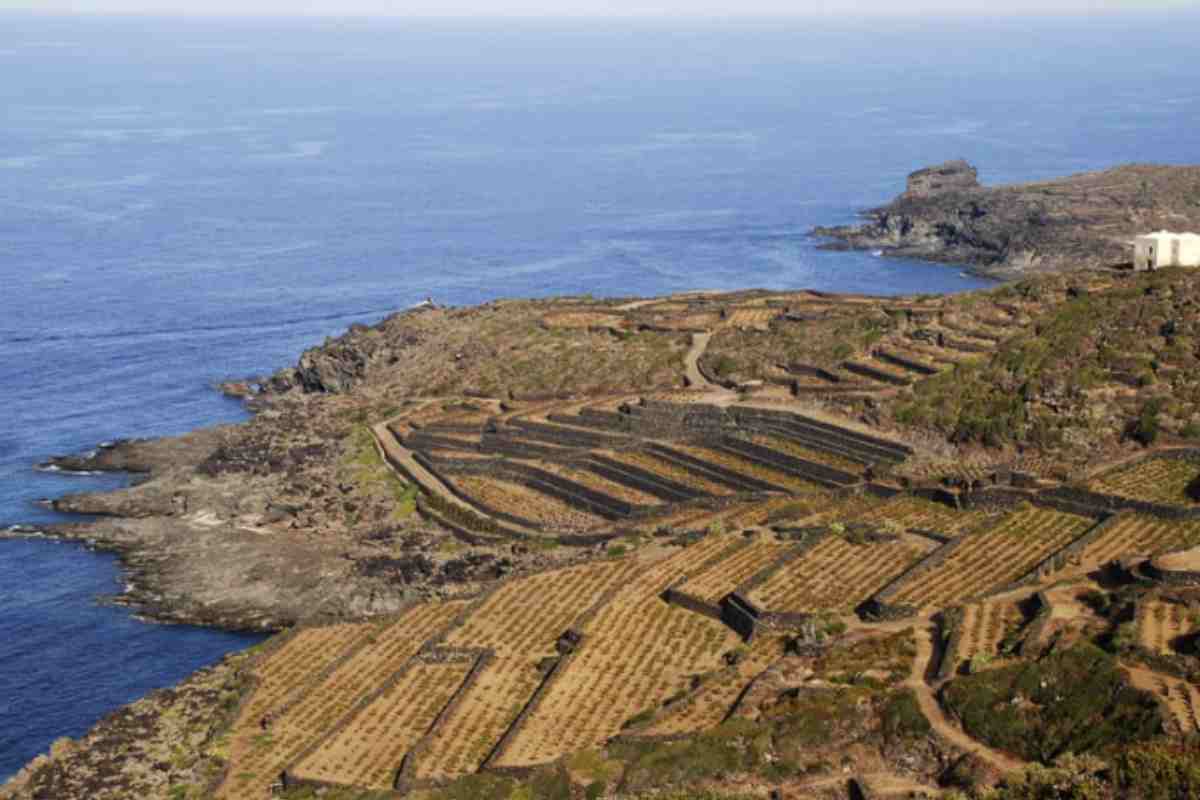 L’isola di Pantelleria, con i suoi oltre 7.100 abitanti, si estende su una superficie di circa 84,5 km² ed è situata a 110 km a sud-ovest della Sicilia