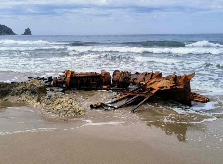 in queste spiagge non andare: mare e laghi più inquinati