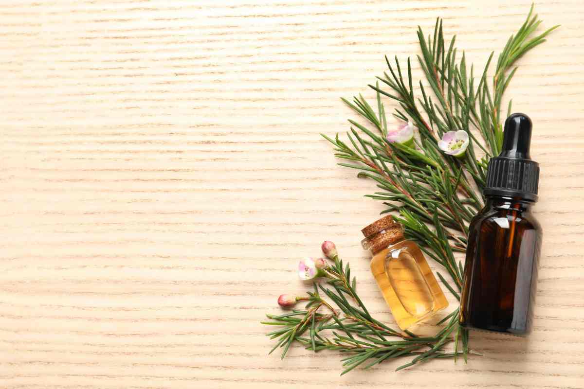 armadio profumato modo naturale