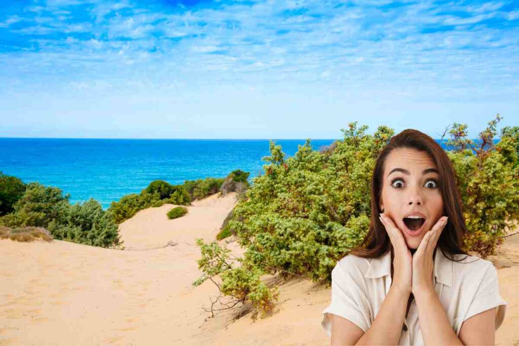 Le dune di Piscinas