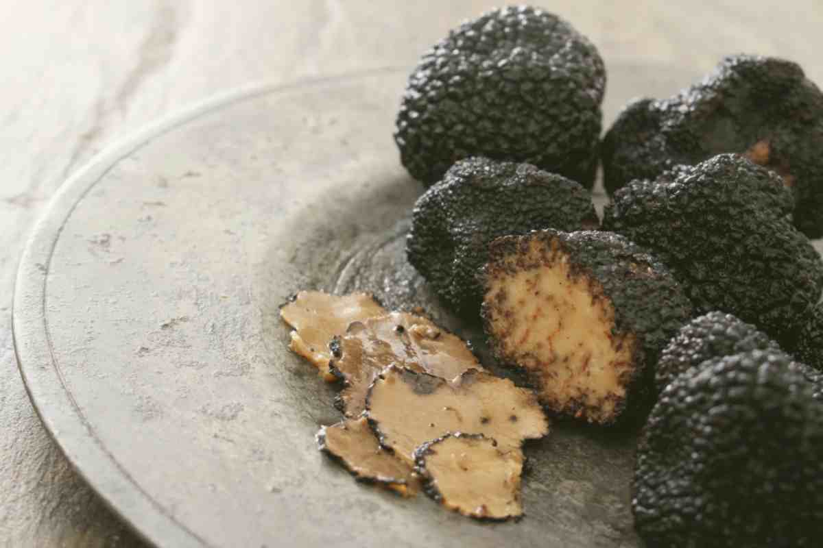 Tartufo 