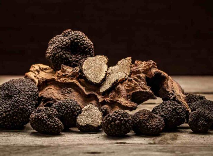 Tartufo