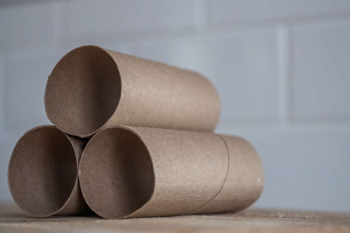 Come riciclare i rotoli di carta igienica; sono utili per le pulizie della casa