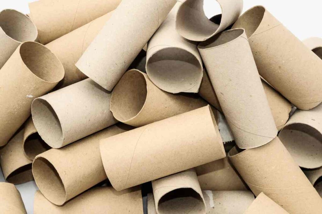 Come riciclare i rotoli di carta igienica; sono utili per le pulizie della casa