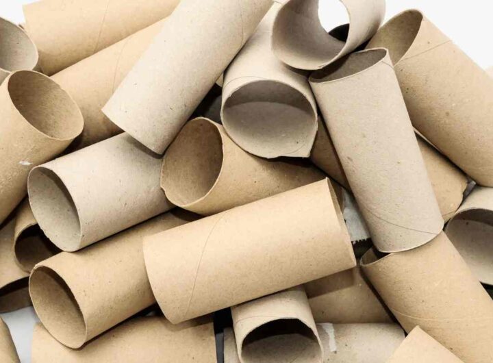 Come riciclare i rotoli di carta igienica; sono utili per le pulizie della casa