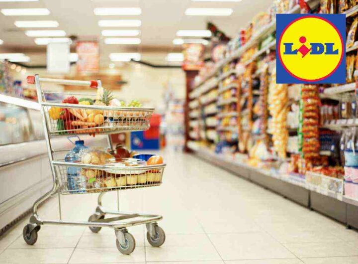 Lidl lancia il prodotto antispazzatura che rivoluziona la cucina: