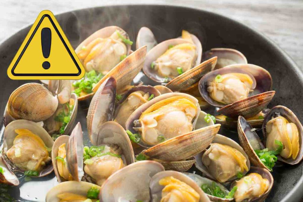 vongole