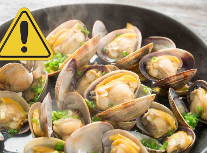 vongole