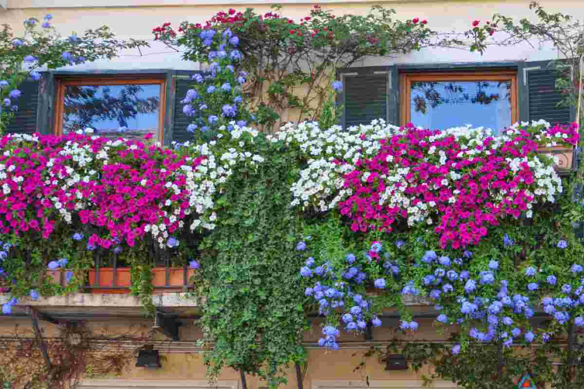 Balcone fiorito
