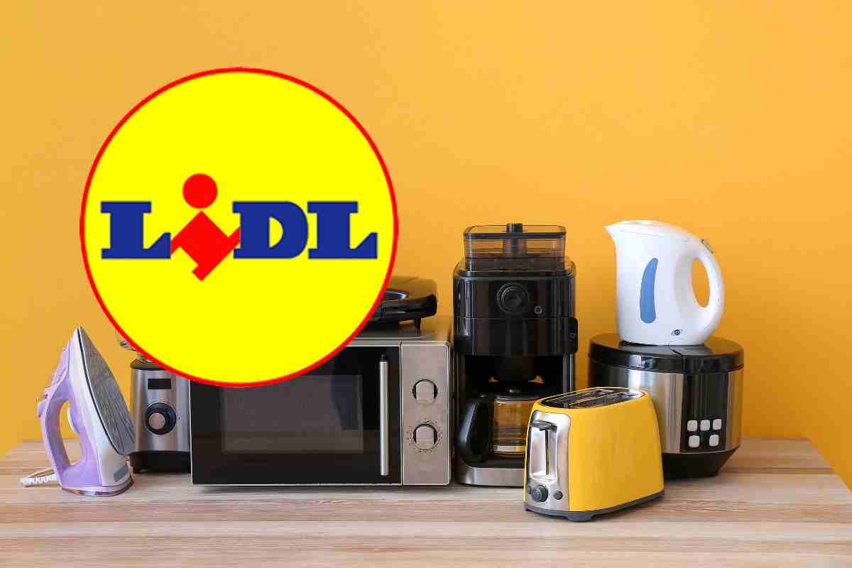 lidl tostiera