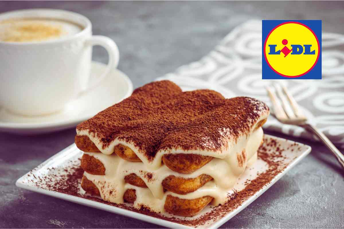 Tutti parlano di questo tiramisù Lidl: prezzo incredibile