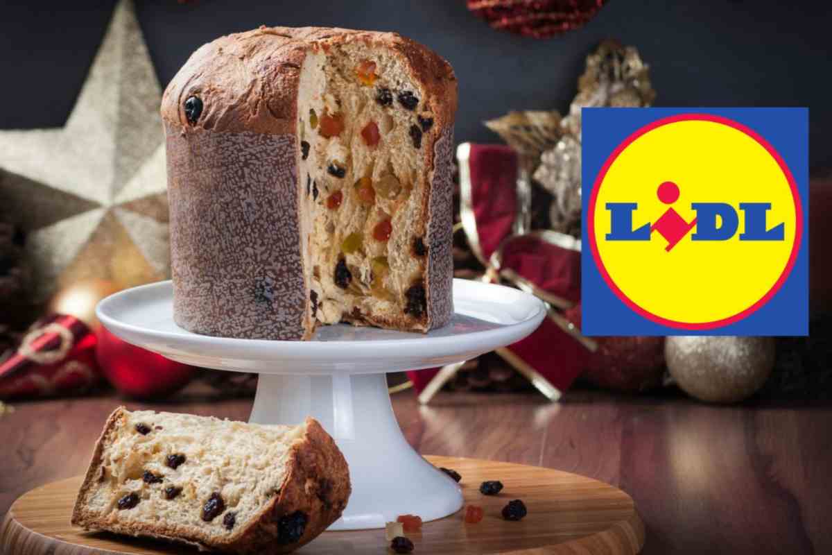 panettone lidl