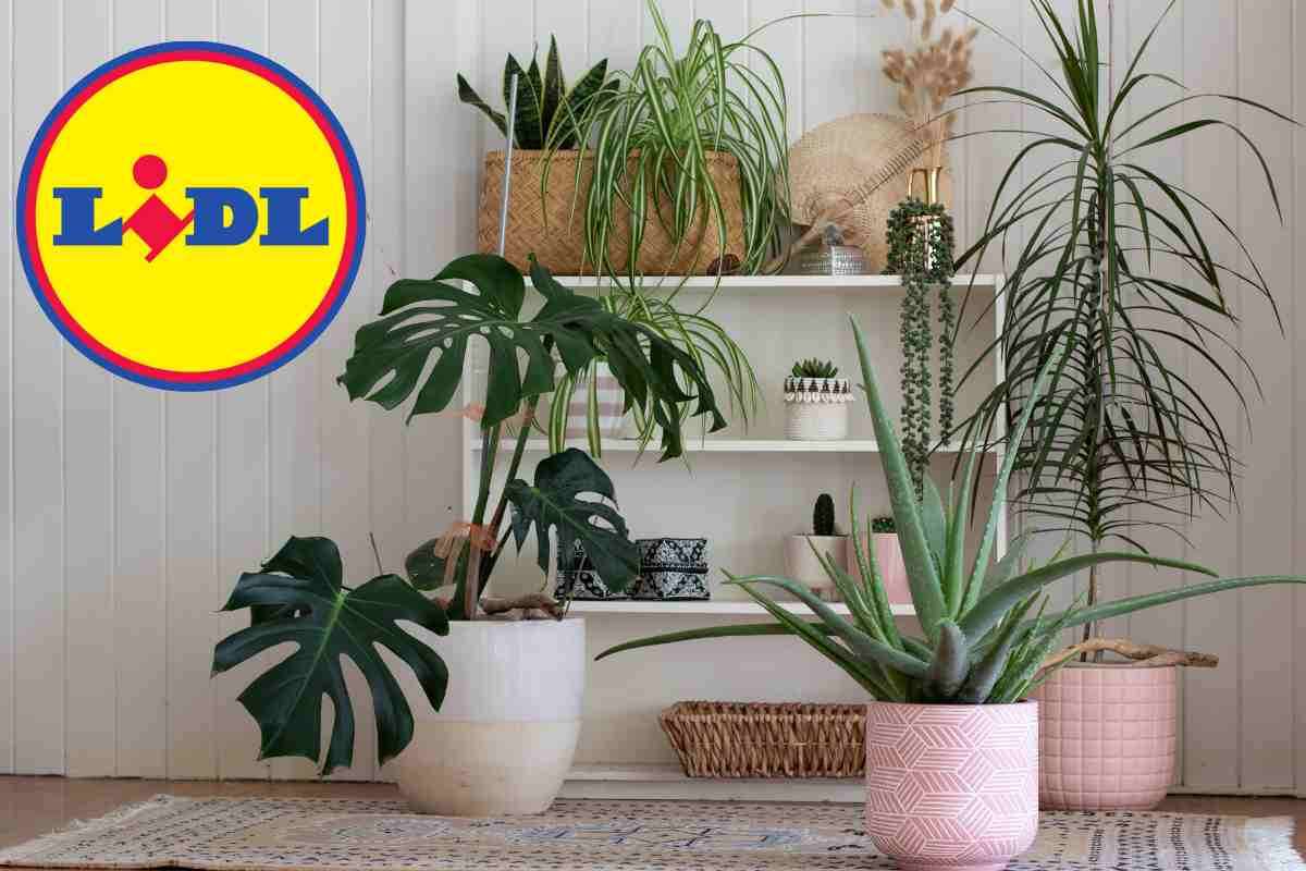 Neanche 5 euro e avrai la casa più bella del quartiere